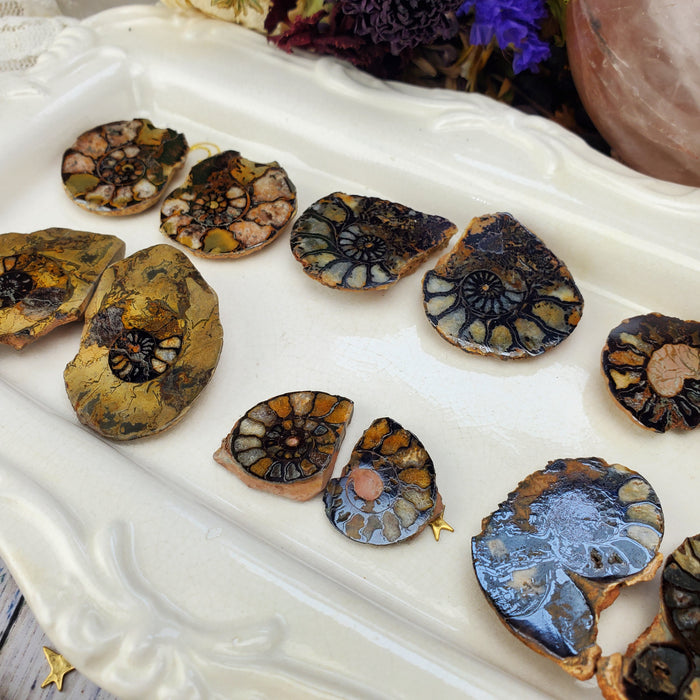 Ammonite Splits with Hematite, second quality