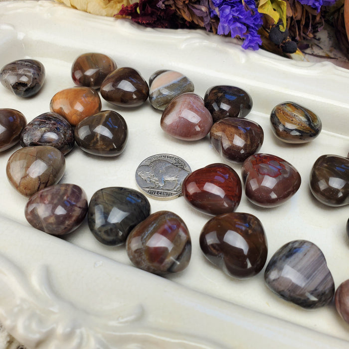 Puffy Petrified Wood Hearts