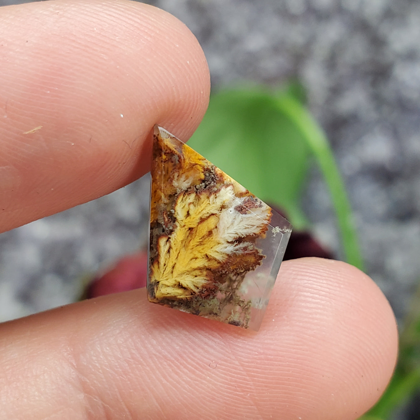 Shop Cabochons