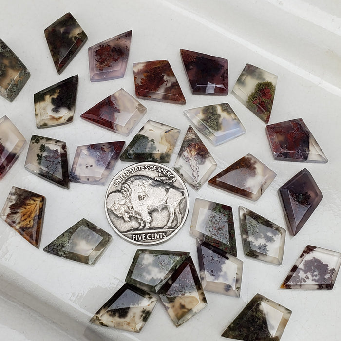 Mini Moss Agate Kite Cabochons