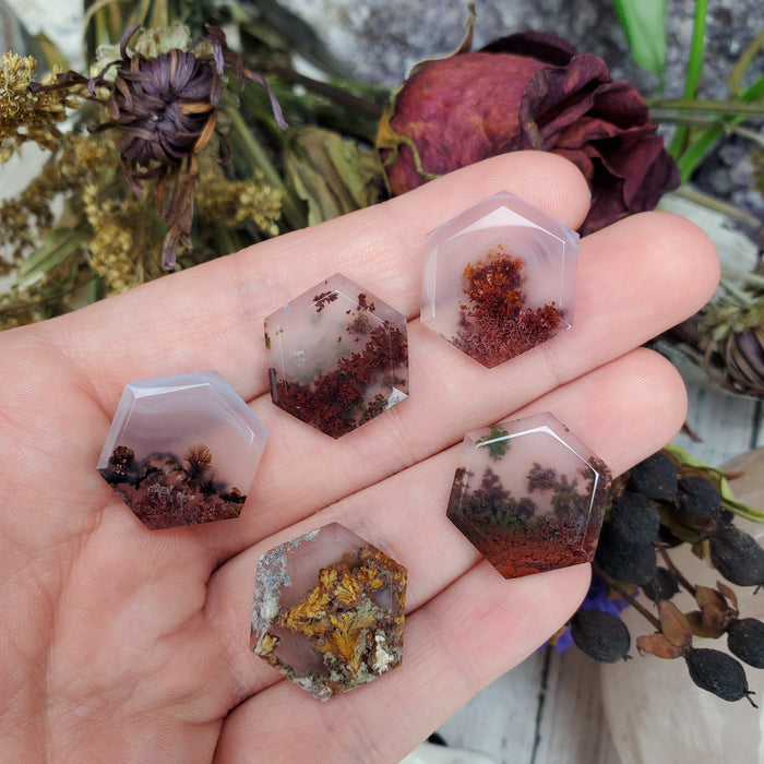 Mini Moss Agate Hexagonal Cabochons