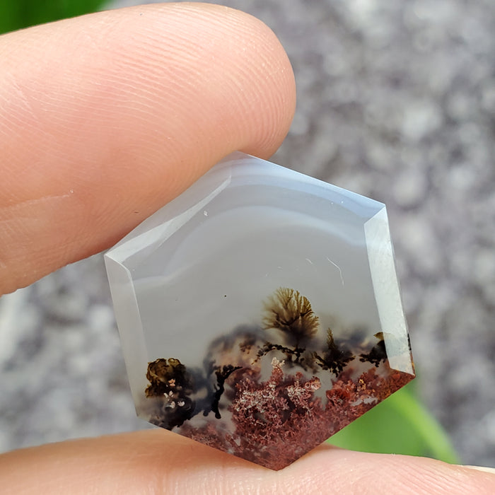 Mini Moss Agate Hexagonal Cabochons