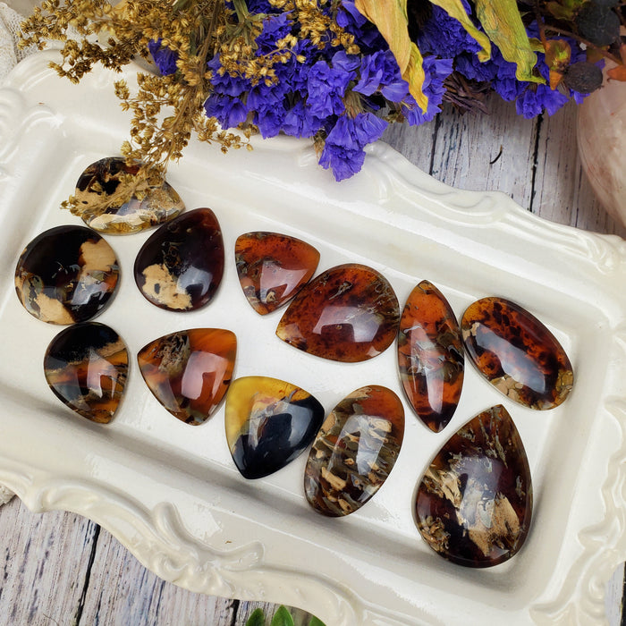 Sumatran Amber Cabochons