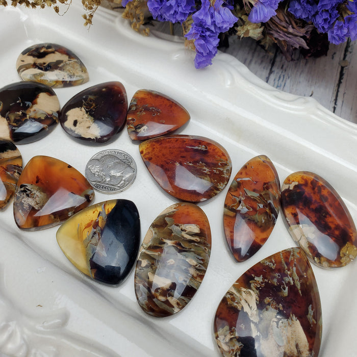 Sumatran Amber Cabochons