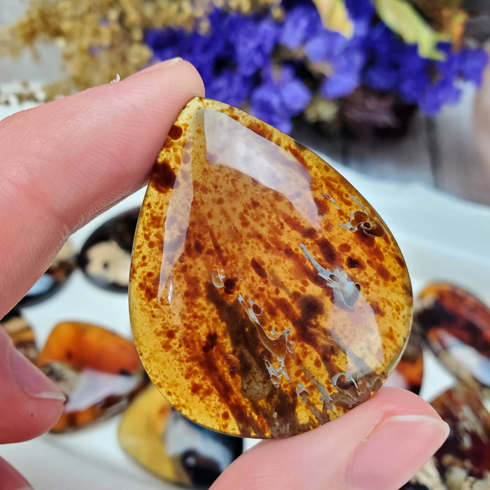 Sumatran Amber Cabochons