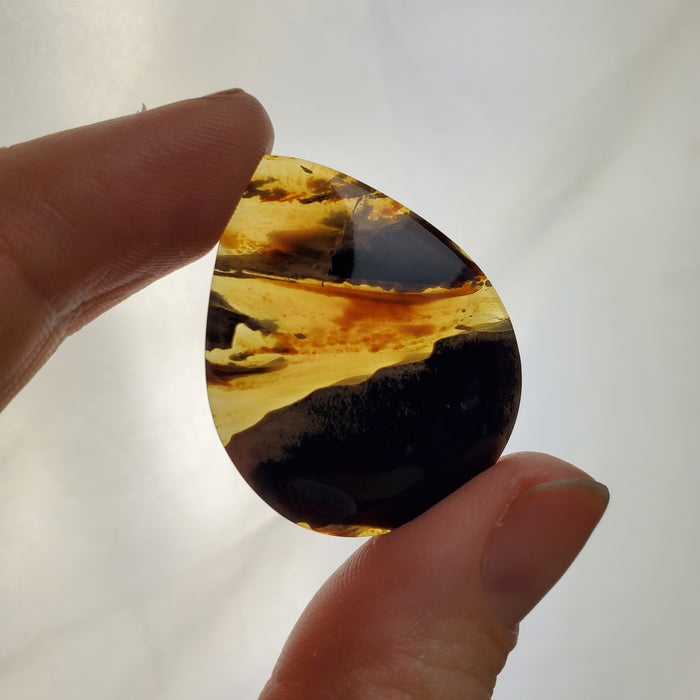 Sumatran Amber Cabochons