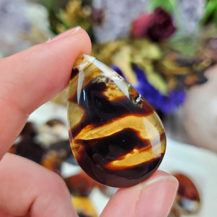 Sumatran Amber Cabochons