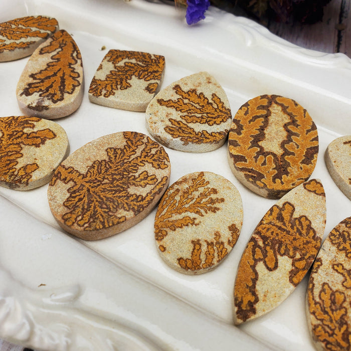 Manganese Dendrites on Limestone Cabochons