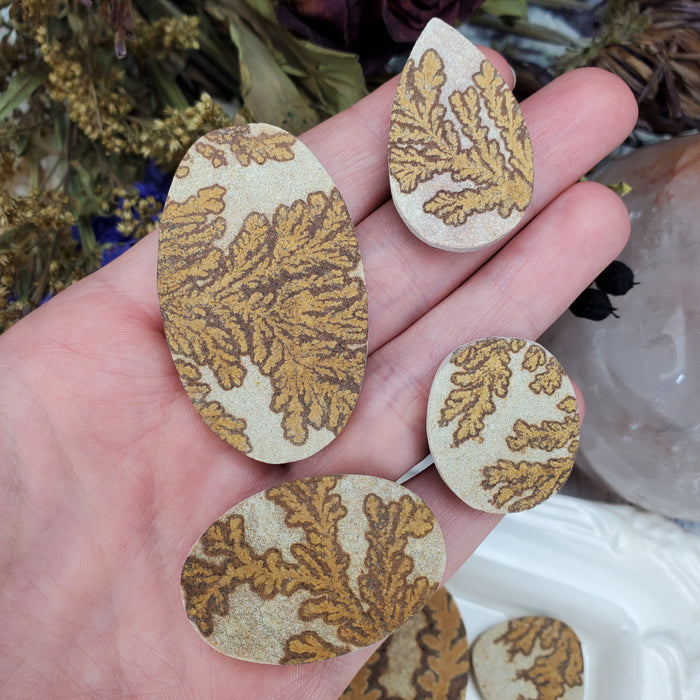 Manganese Dendrites on Limestone Cabochons