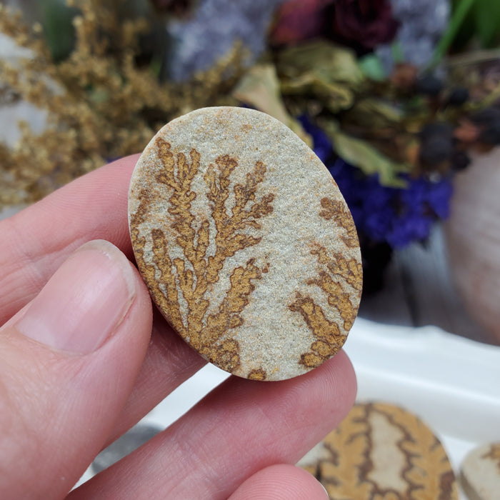 Manganese Dendrites on Limestone Cabochons