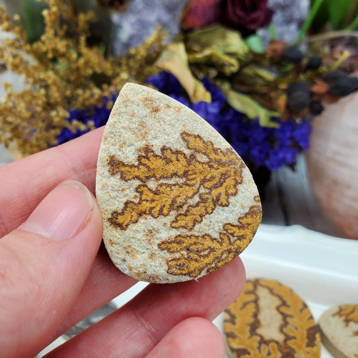 Manganese Dendrites on Limestone Cabochons