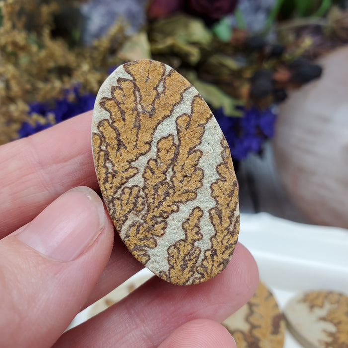 Manganese Dendrites on Limestone Cabochons