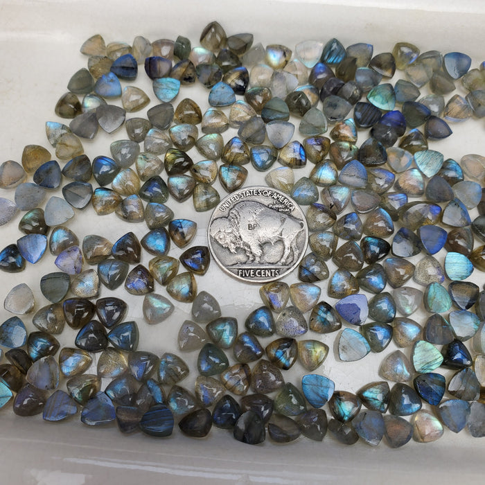 Labradorite Trillion Cabochons, 6mm