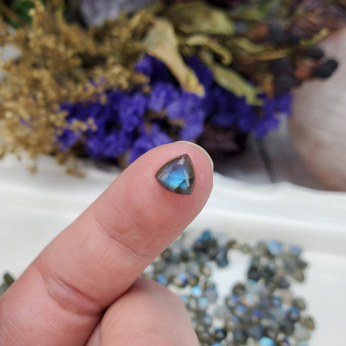 Labradorite Trillion Cabochons, 6mm