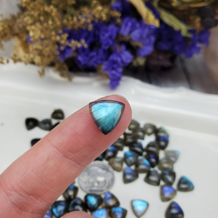 Labradorite Trillion Cabochons, 10mm