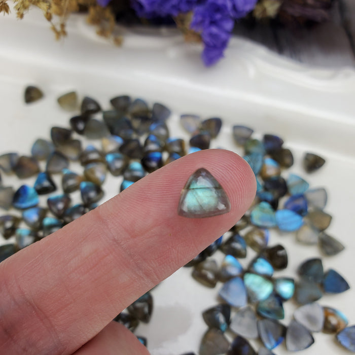 Labradorite Trillion Cabochons, 8mm