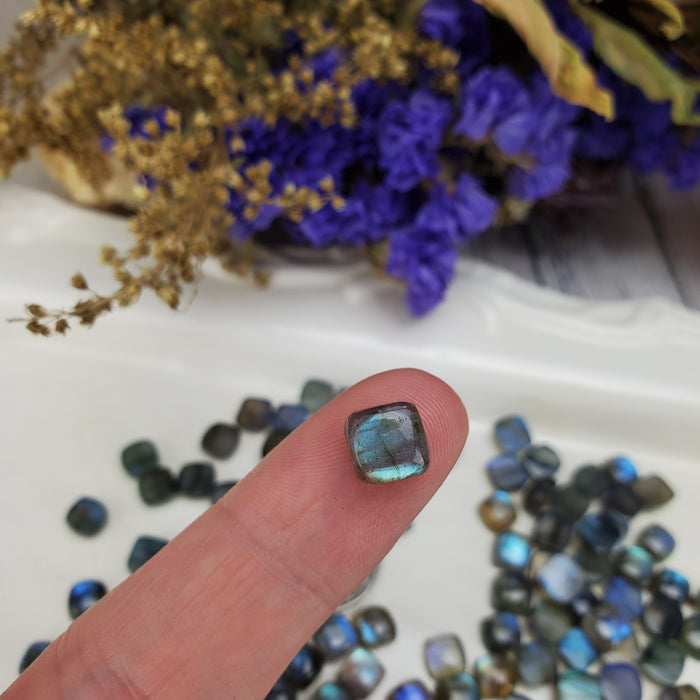 Labradorite Cushion Cabochons, 7mm