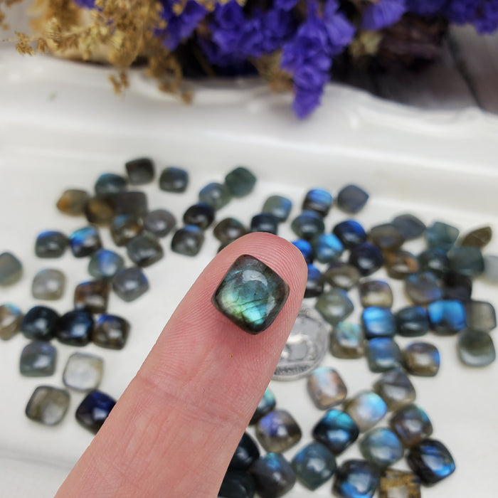 Labradorite Cushion Cabochons, 8mm