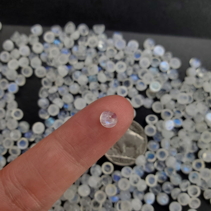 Moonstone Round Cabochons, 5mm