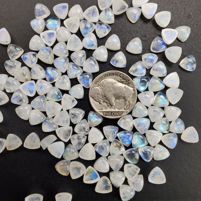 Moonstone Trillion Cabochons, 7mm