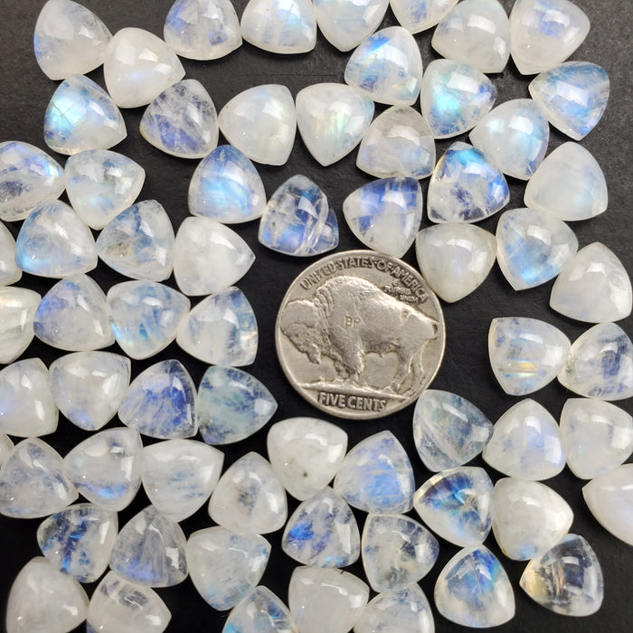 Moonstone Trillion Cabochons, 10mm