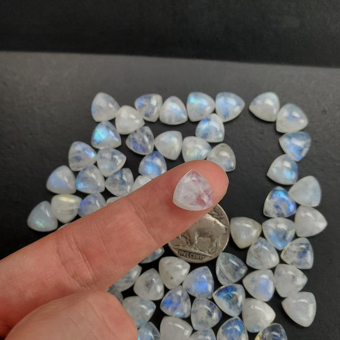 Moonstone Trillion Cabochons, 10mm