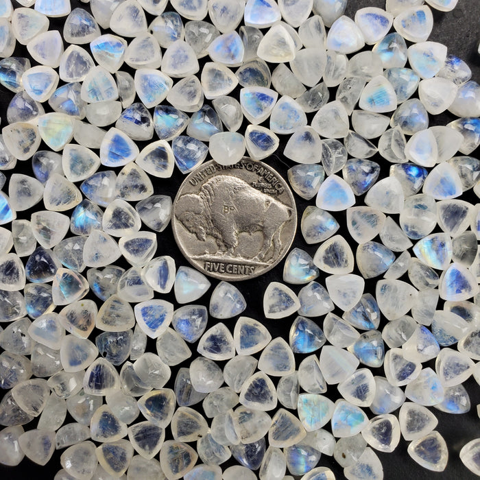 Moonstone Trillion Cabochons, 6mm