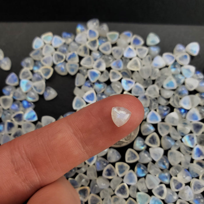 Moonstone Trillion Cabochons, 6mm