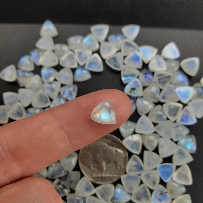 Moonstone Trillion Cabochons, 8mm