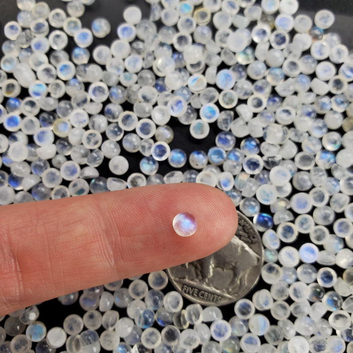 Moonstone Round Cabochons, 4mm