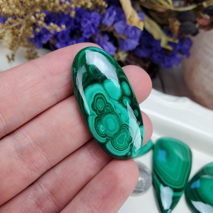 Malachite Cabochons, medium