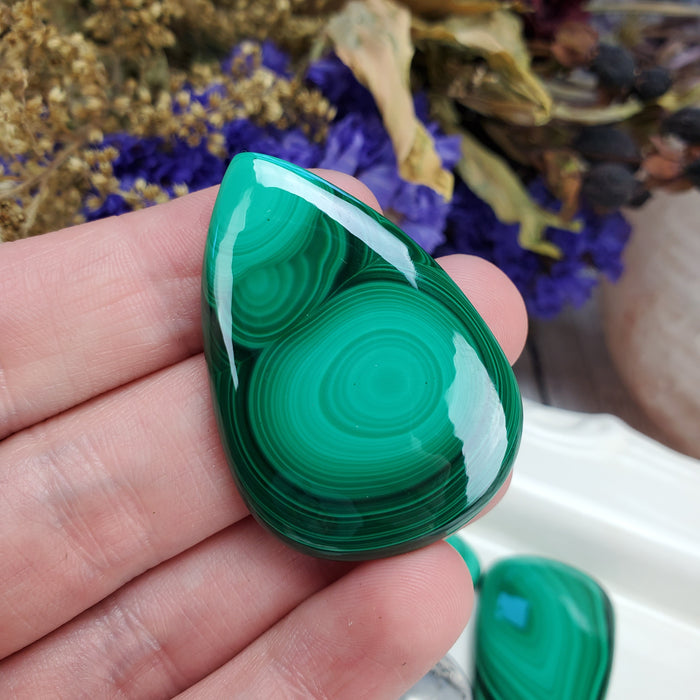 Malachite Cabochons, medium