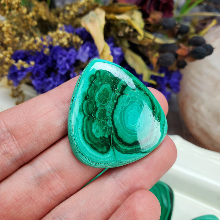 Malachite Cabochons, medium