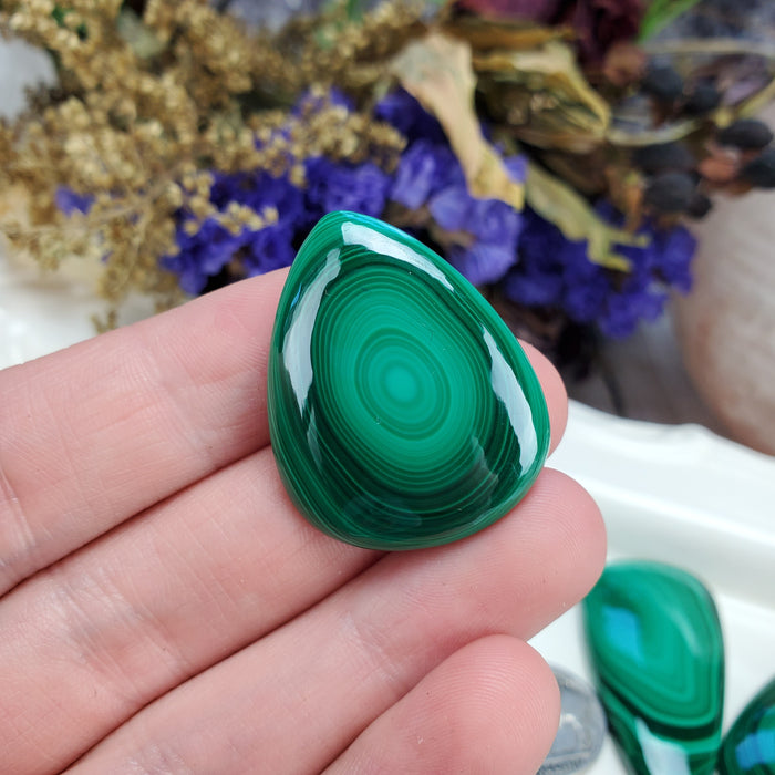 Malachite Cabochons, medium