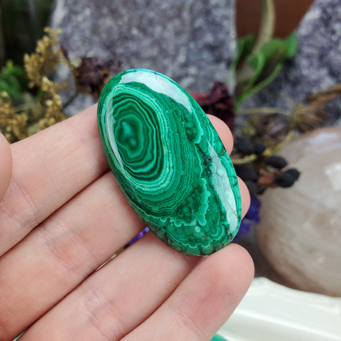 Malachite Cabochons, large