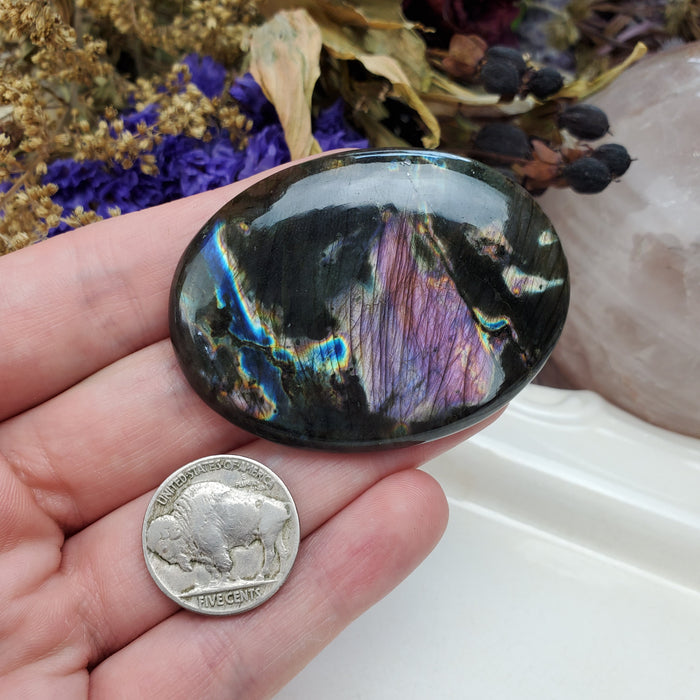 Purple Labradorite Cabochon, 5