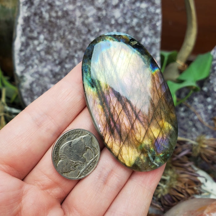 Purple Labradorite Cabochon, 12