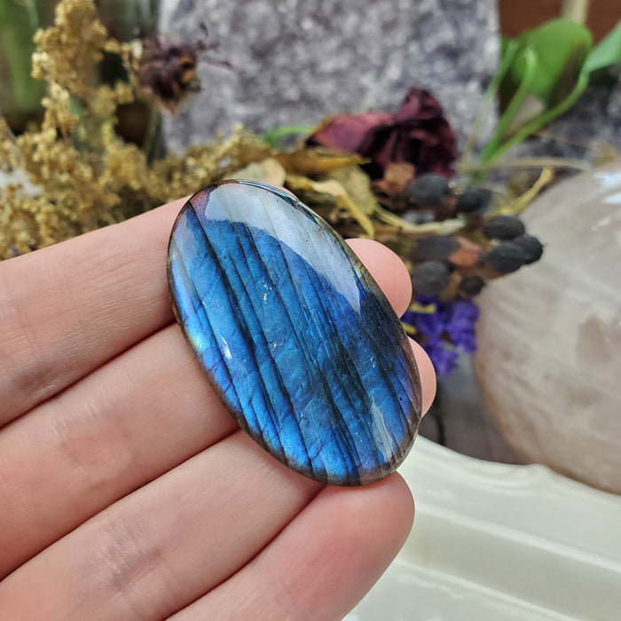 Blue Labradorite Cabochon, 12