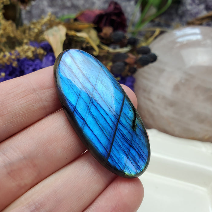 Blue Labradorite Cabochon, 11