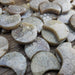 Fossil Coral Chubby Moons