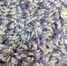 Vera Cruz Amethyst Crystals - Small Size