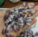 Vera Cruz Amethyst Crystals - Small Size