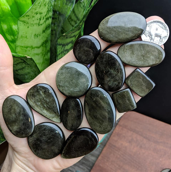 Golden Sheen Obsidian Cabochons