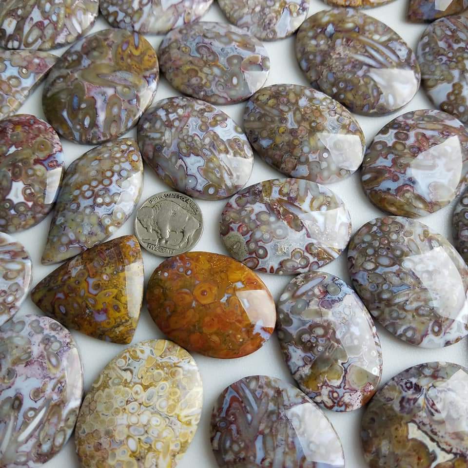 Shop Clearance Section