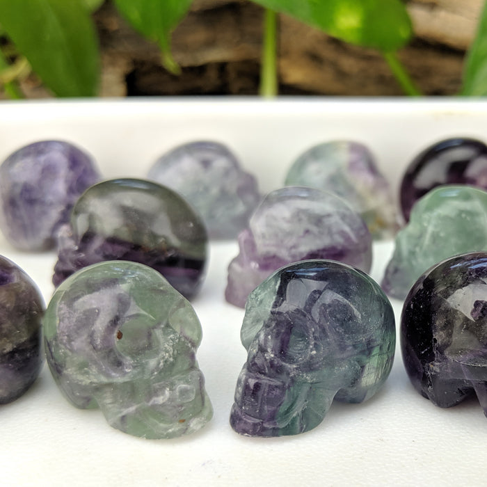 Rainbow Fluorite Carved Skulls