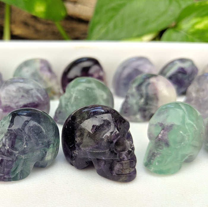 Rainbow Fluorite Carved Skulls