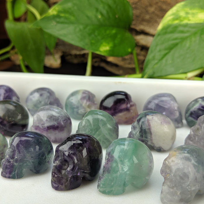 Rainbow Fluorite Carved Skulls