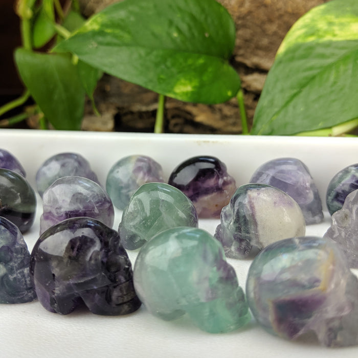 Rainbow Fluorite Carved Skulls