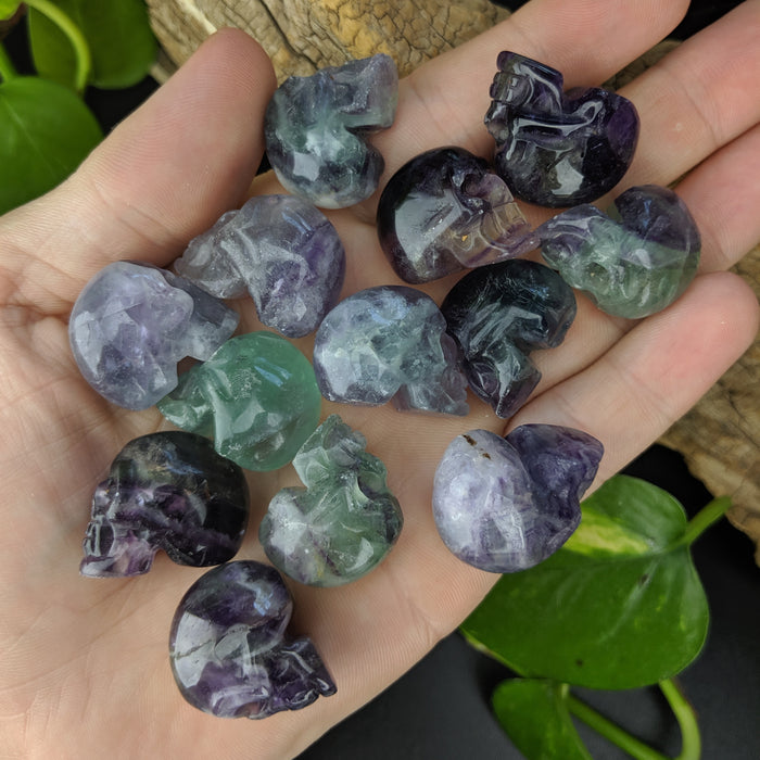 Rainbow Fluorite Carved Skulls