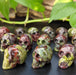 Dragon Blood Jasper Carved Skulls